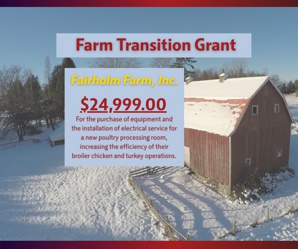 Celebrating Fairholm Farm’s Transition Grant Success