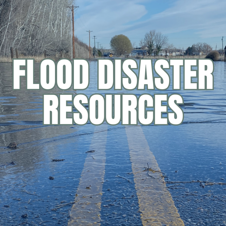 Flood relief graphic of a flooded road with the text "FLOOD DISASTER RESOURCES" 