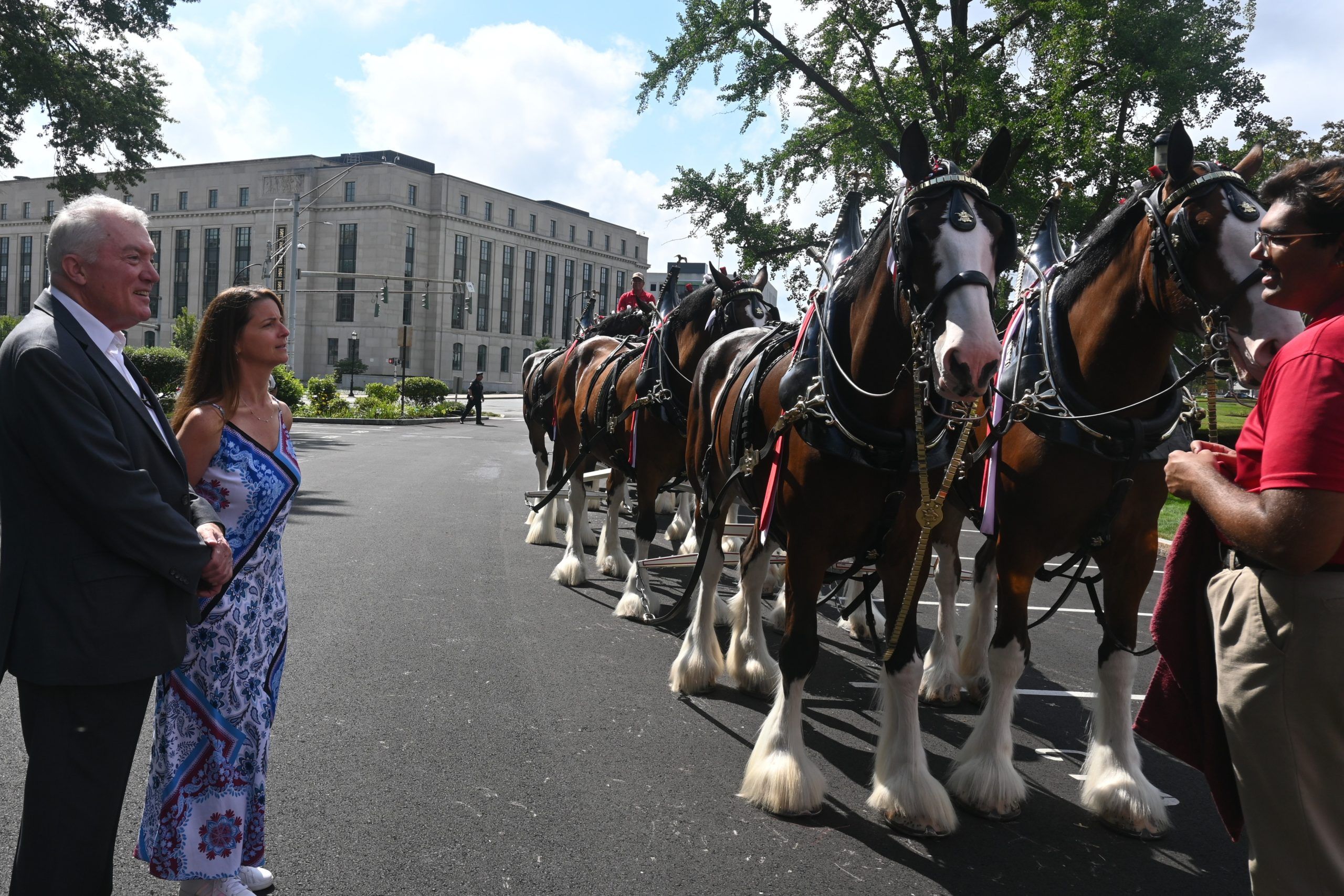 Carpino: Folds of Honor