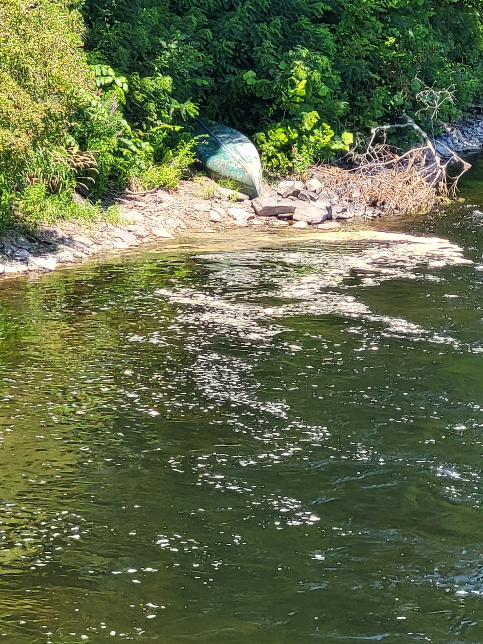 Rep. Zawistowski Requests AG Tong to Initiate Action to Prevent Massachusetts Cities from Polluting CT River