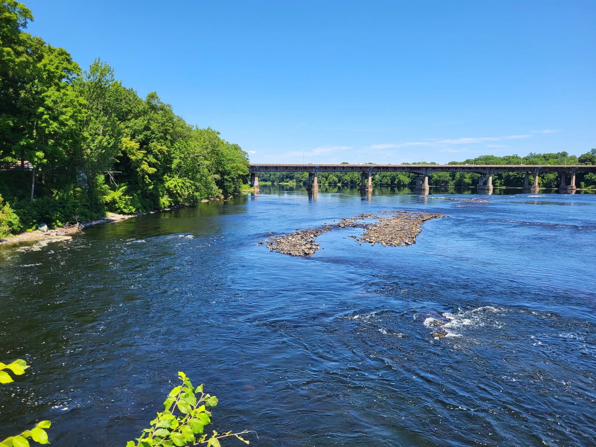 Rep. Zawistowski Urgently Requests MA U.S. Senators Markey and Warren to Expedite CT River Cleanup