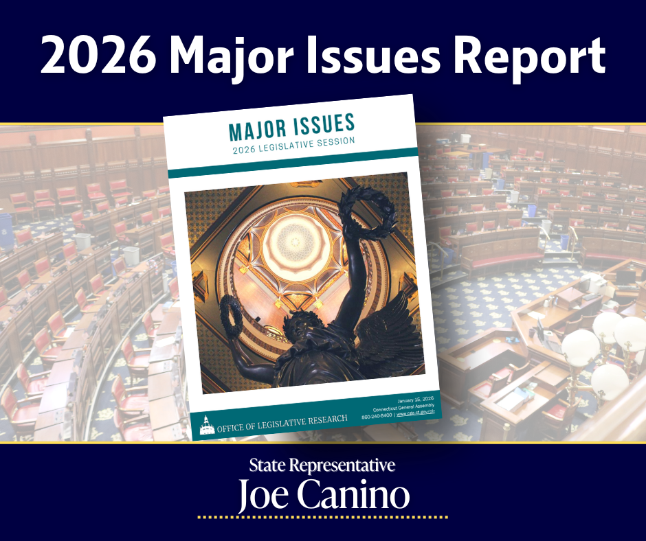 Major Issues Report: 2026