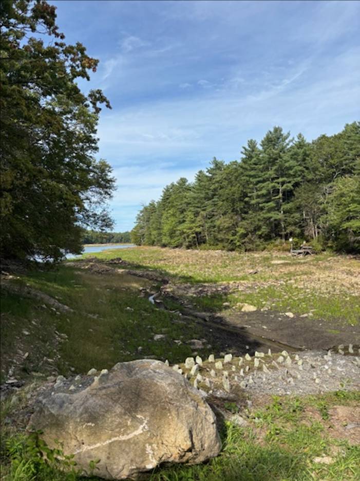 Anne Dam 2